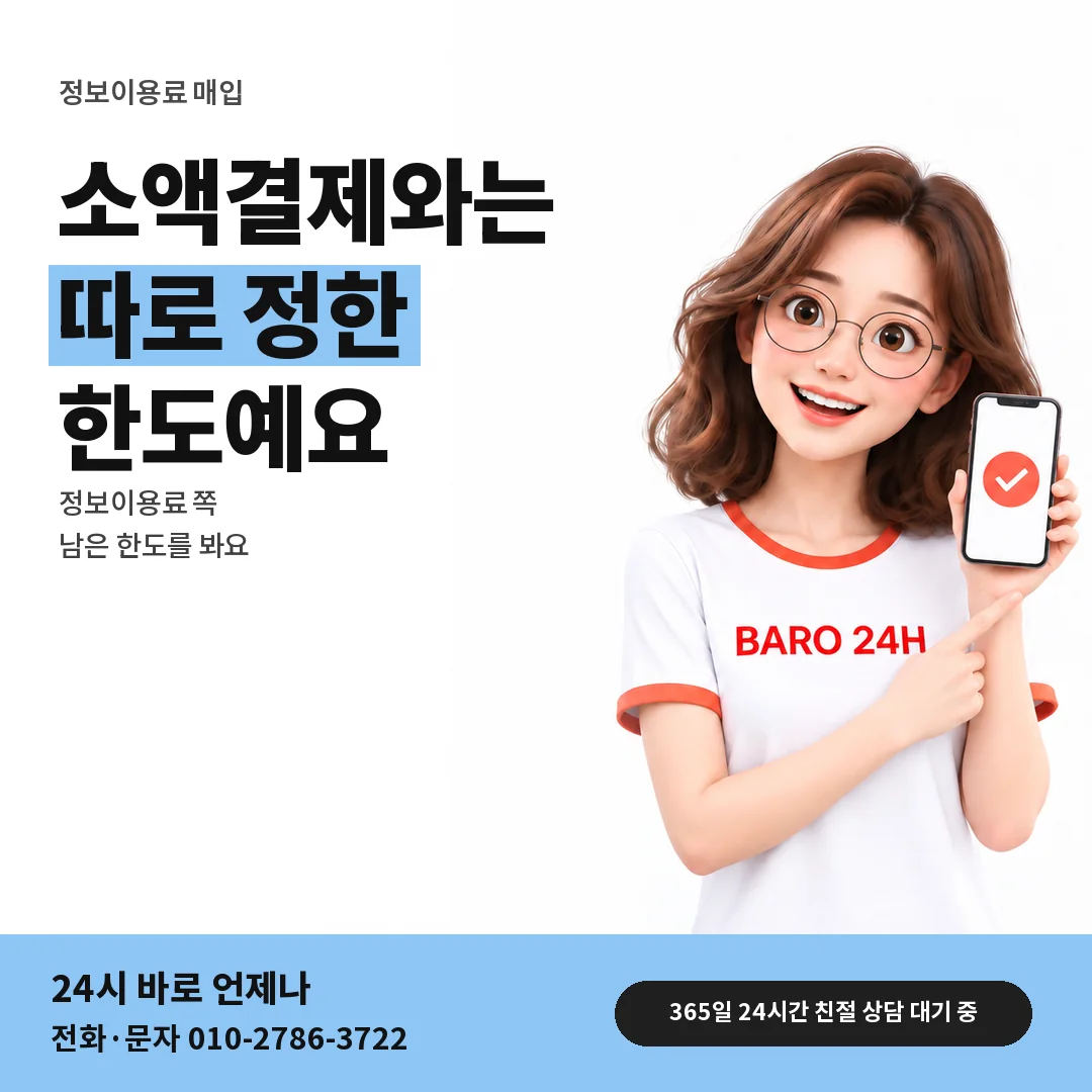 BARO 24H 티셔츠를 입은 3D 인물 옆에 「소액결제 한도와 따로」 제목을 얹은 안내 카드